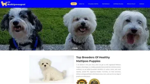 Screenshot of