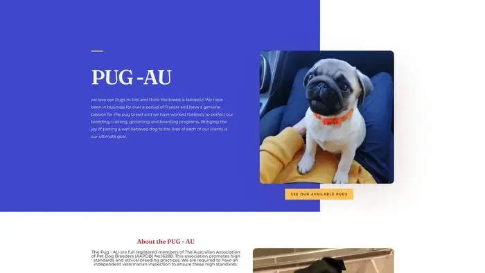 Screenshot of