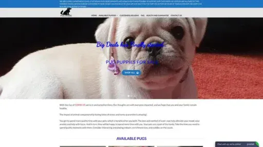 Screenshot of