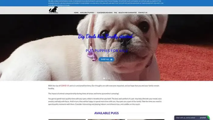 Screenshot of