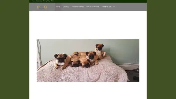 Screenshot of