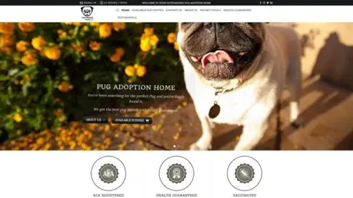 Screenshot of