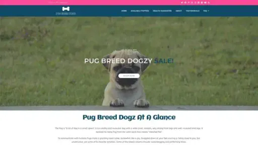 Screenshot of