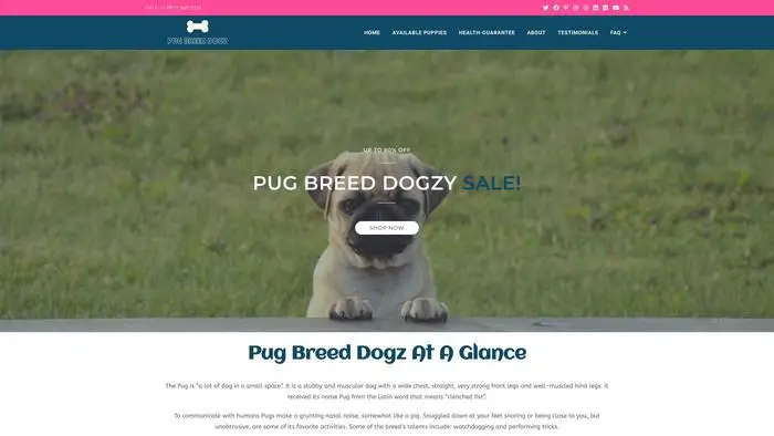Screenshot of