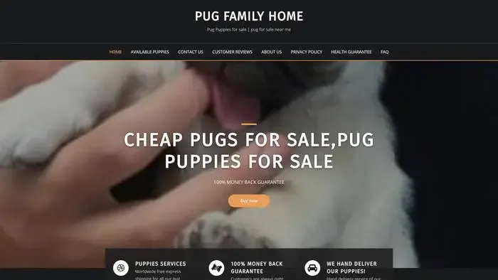 Screenshot of