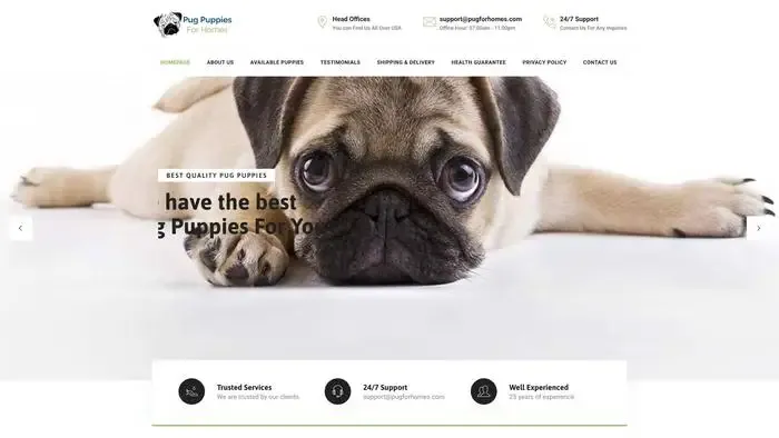 Screenshot of