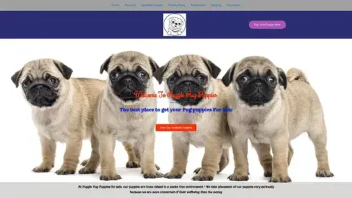 Screenshot of