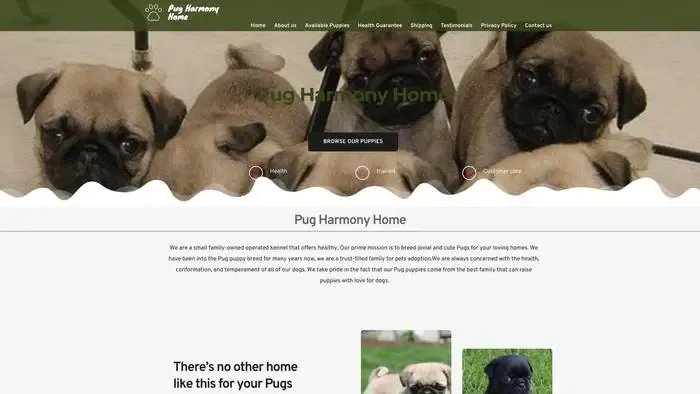 Screenshot of