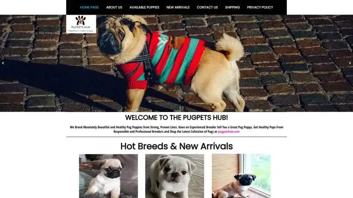 Screenshot of