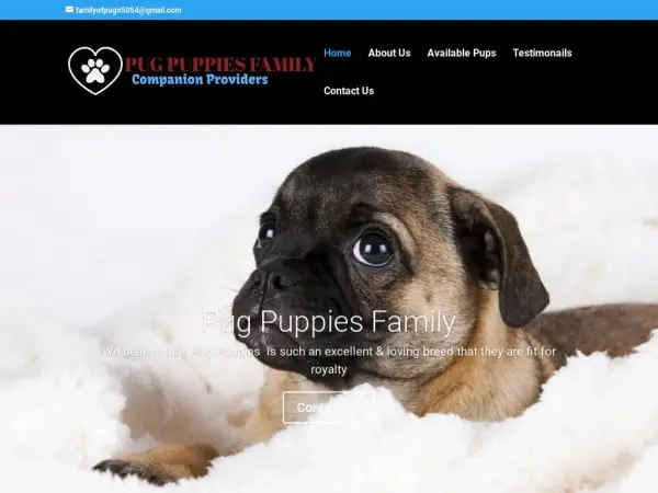 Screenshot of