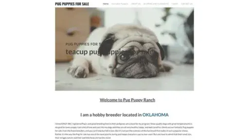 Screenshot of