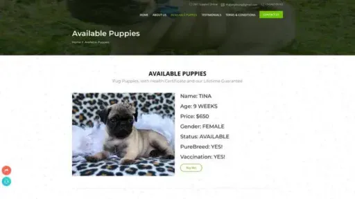 Screenshot of