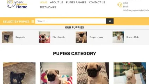 Screenshot of