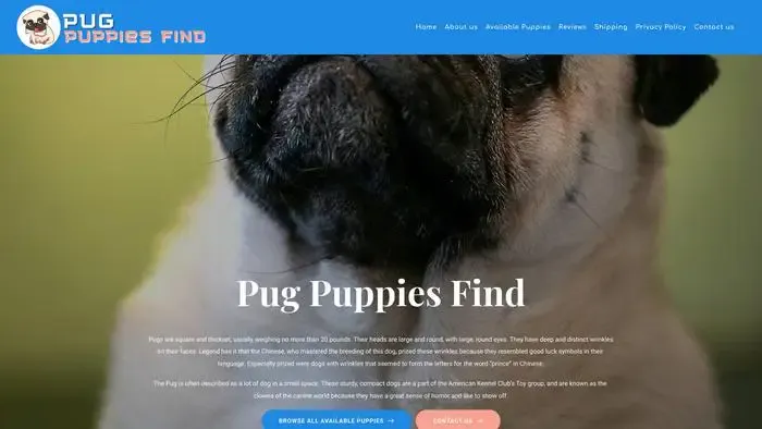 Screenshot of