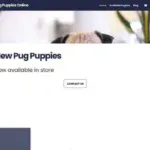 pug puppies forsale net