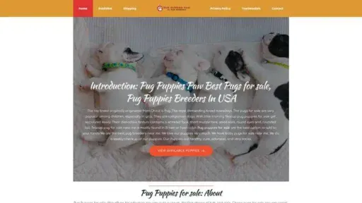 Screenshot of