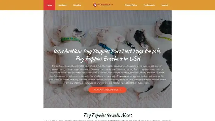 Screenshot of