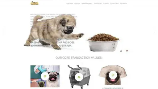 Screenshot of