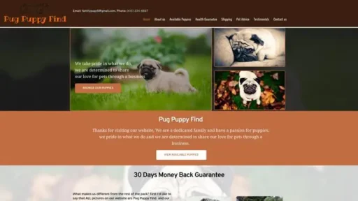 Screenshot of