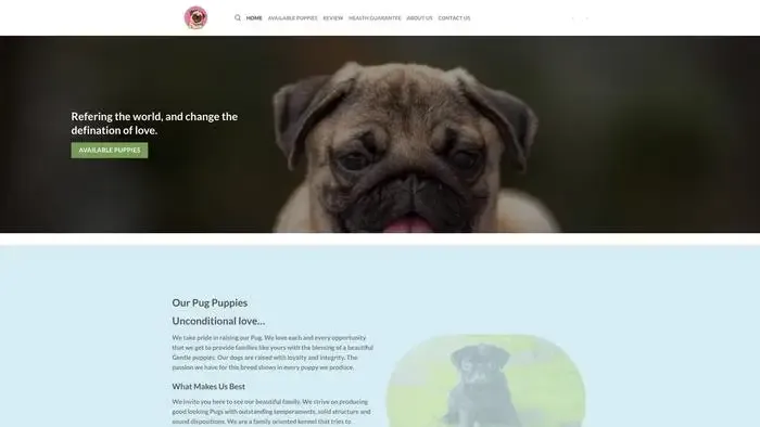 Screenshot of