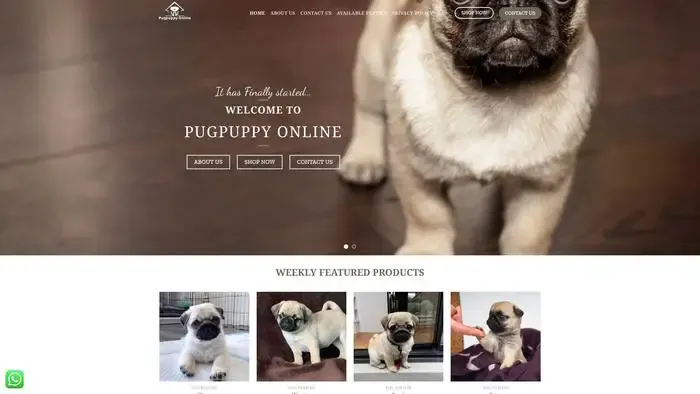 Screenshot of