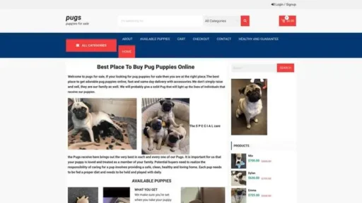 Screenshot of