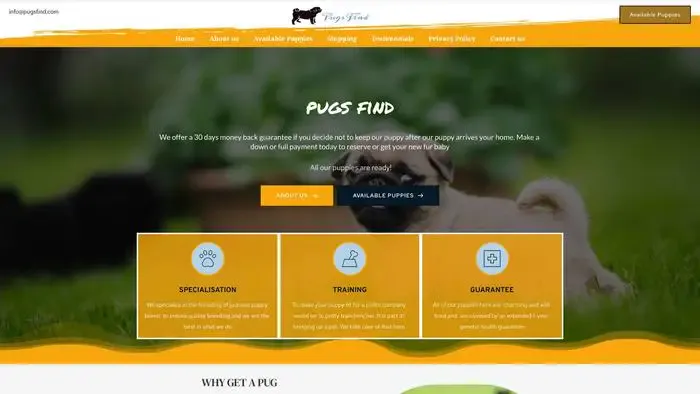 Screenshot of