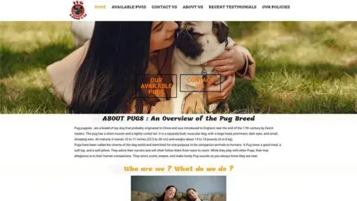 Screenshot of