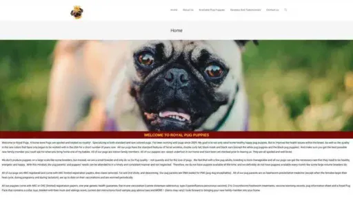 Screenshot of