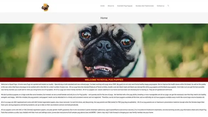 Screenshot of