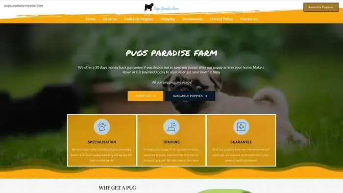 Screenshot of