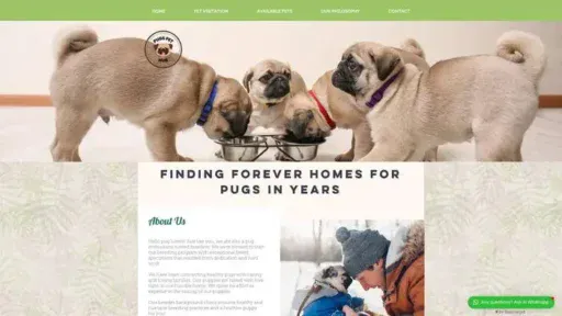Screenshot of