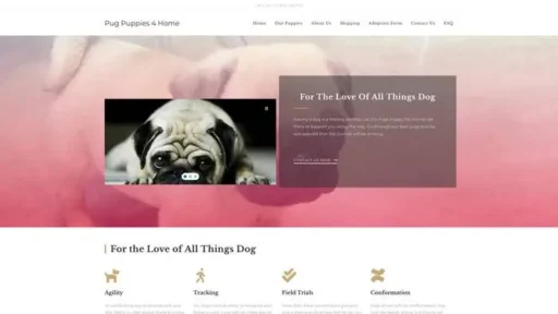 Screenshot of