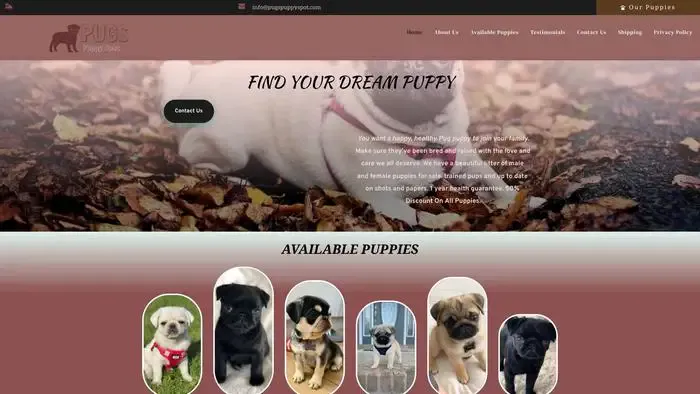 Screenshot of