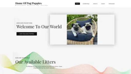 Screenshot of
