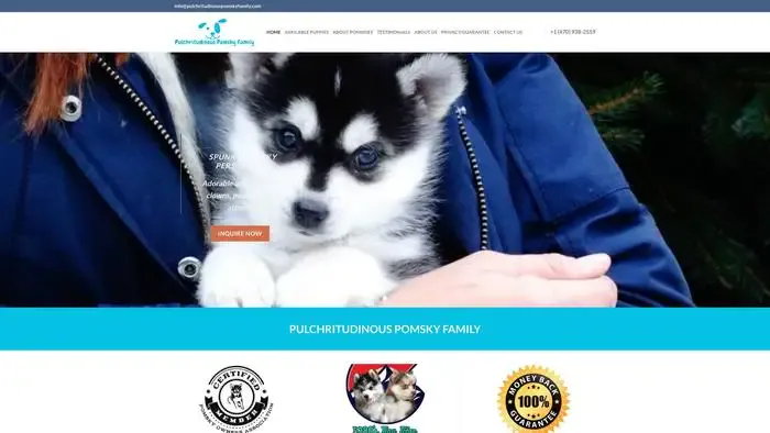 Screenshot of