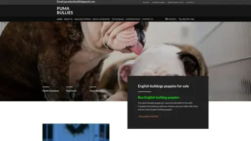 Screenshot of