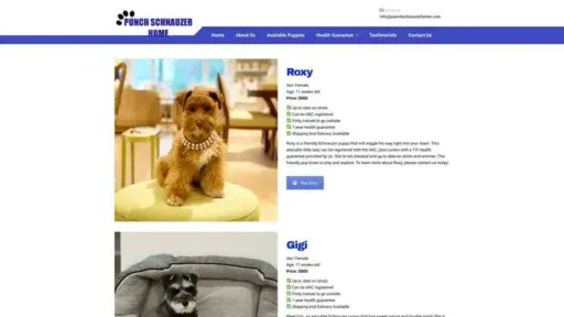 Screenshot of