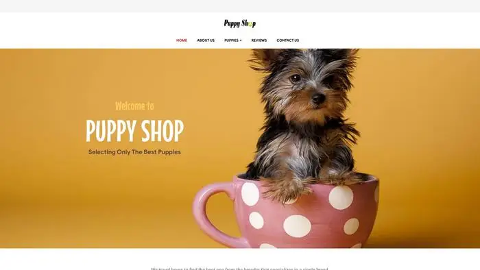 Screenshot of