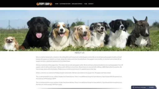 Screenshot of