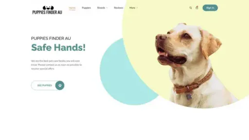 Screenshot of