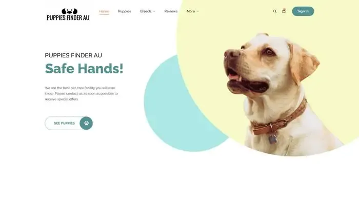 Screenshot of