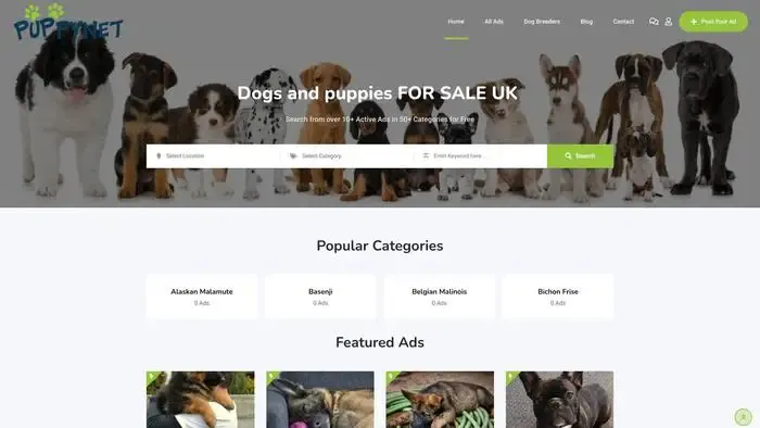 Screenshot of