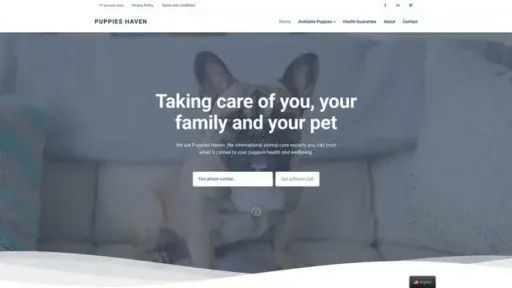 Screenshot of