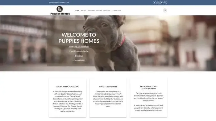 Screenshot of