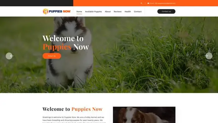 Screenshot of