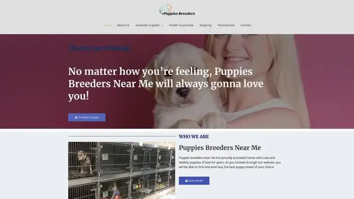 Screenshot of