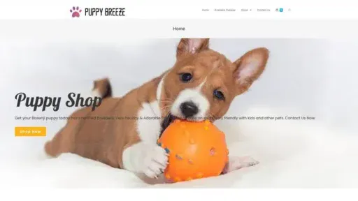 Screenshot of