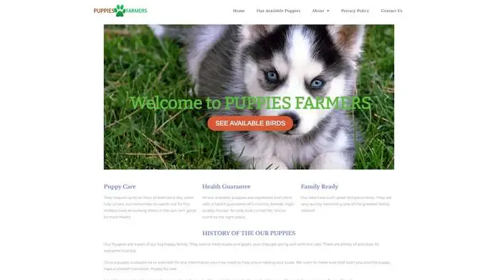 Screenshot of