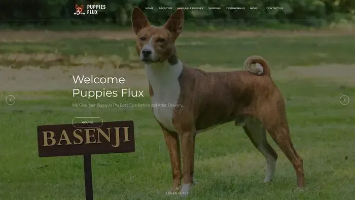 Screenshot of